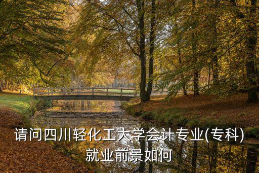 請問四川輕化工大學(xué)會計專業(yè)(?？?就業(yè)前景如何