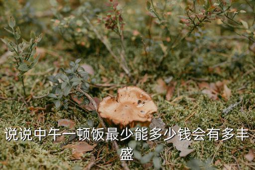 承德中午做一頓飯多少錢,說說中午一頓飯最少能多少錢