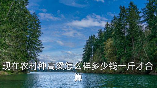 河北高粱現(xiàn)在多少錢一斤,多少錢一斤才合算
