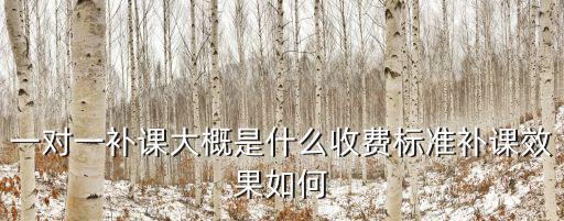 一對一補課大概是什么收費標(biāo)準(zhǔn)補課效果如何
