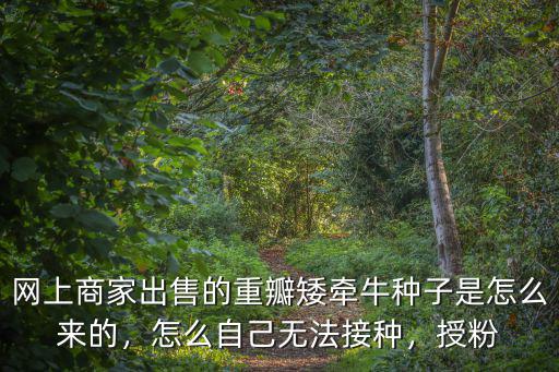 四川重瓣矮牽牛哪里有,重瓣矮牽牛種苗和種子哪個好