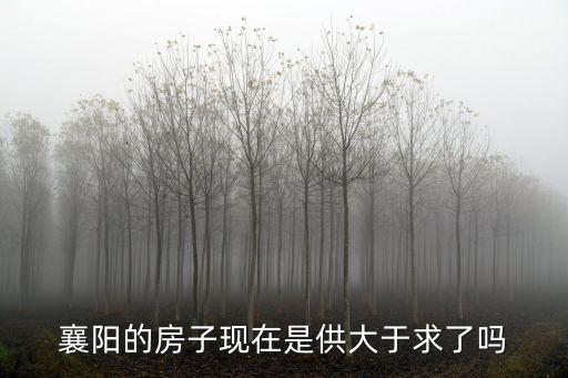 襄陽的房子現(xiàn)在是供大于求了嗎