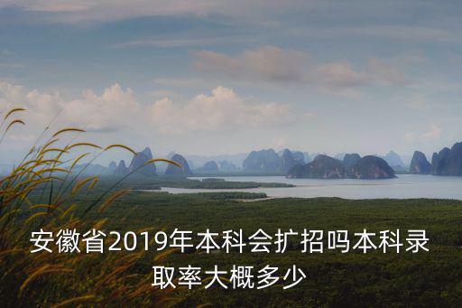 安徽省錄取率是多少,本科錄取率大概多少