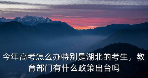 今年高考怎么辦特別是湖北的考生，教育部門有什么政策出臺(tái)嗎