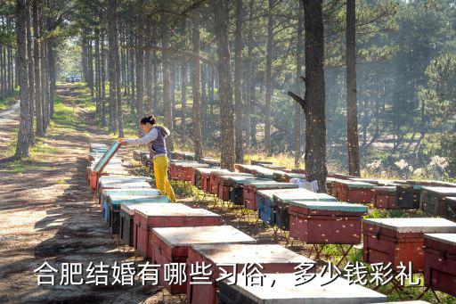合肥肥西彩禮多少合適,合肥結(jié)婚一般彩禮要多少