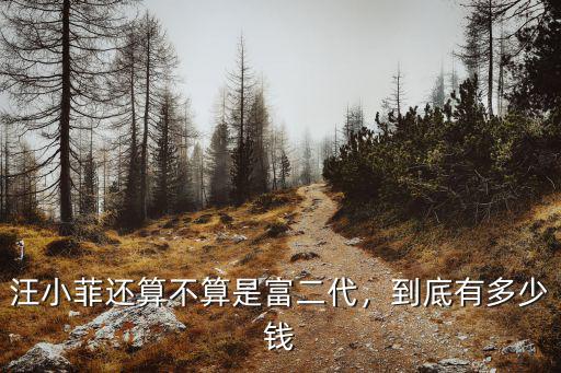 阜陽多少錢算富二代,汪小菲還算不算是富二代