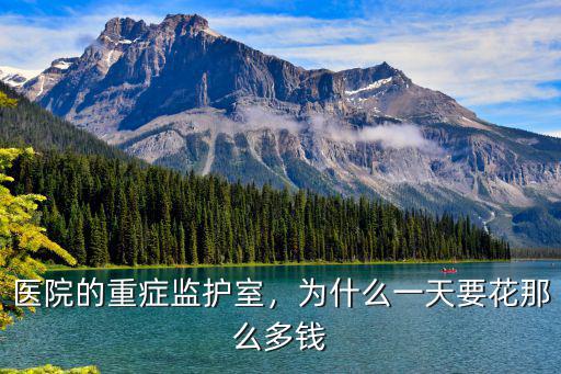 醫院的重癥監護室，為什么一天要花那么多錢