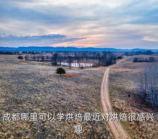 成都哪里可以學烘焙最近對烘焙很感興趣