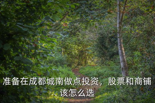 準(zhǔn)備在成都城南做點(diǎn)投資，股票和商鋪該怎么選