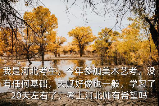 我是河北考生，今年參加美術藝考，沒有任何基礎，天賦好像也一般，學習了20天左右了，考上河北師有希望嗎