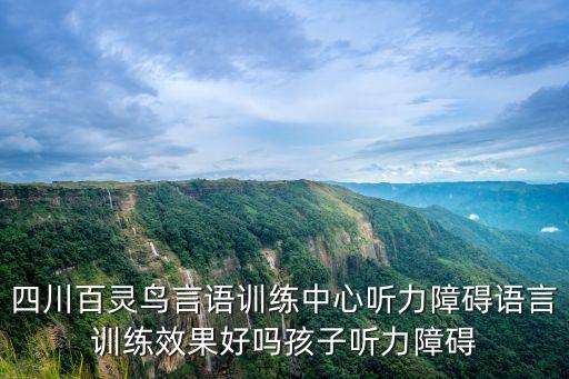 成都哪里言語訓練好,成都哪家專業(yè)