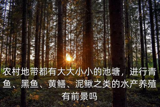南充哪里有養(yǎng)殖黃鱔,養(yǎng)殖黃鱔前景如何