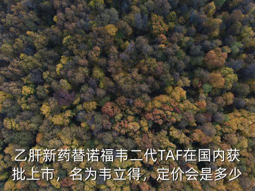 乙肝新藥替諾福韋二代TAF在國內獲批上市，名為韋立得，定價會是多少