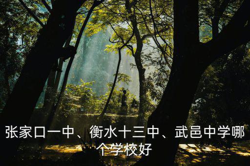 張家口一中、衡水十三中、武邑中學(xué)哪個學(xué)校好
