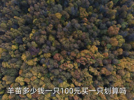 羊苗多少錢一只100元買一只劃算嗎