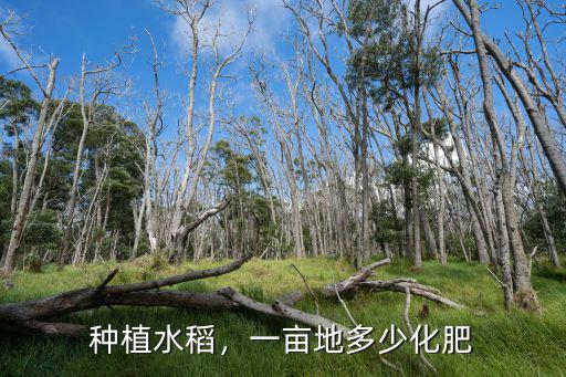 復合肥一畝地施多少肥料,一畝地施多少合適
