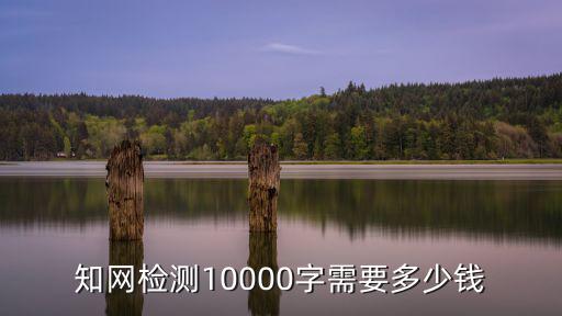 黃山學(xué)院知網(wǎng)查重多少錢,知網(wǎng)職稱論文查重多少錢