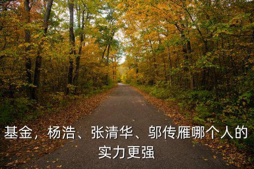 基金，楊浩、張清華、鄔傳雁哪個人的實力更強