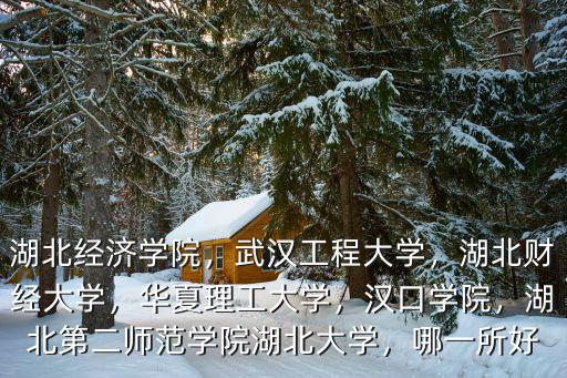 湖北華廈學(xué)院怎么樣,湖北經(jīng)濟(jì)學(xué)院