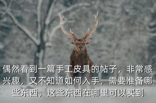 偶然看到一篇手工皮具的帖子，非常感興趣，又不知道如何入手，需要準備哪些東西，這些東西在哪里可以買到