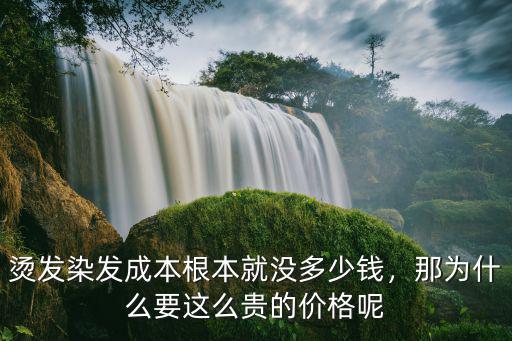 邢臺染發燙頭多少錢,燙發染發成本根本就沒多少錢
