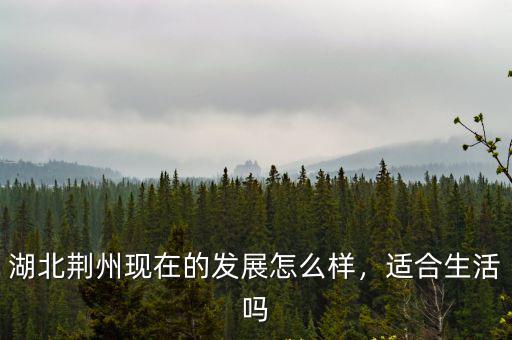 荊州橋南發展怎么樣,湖北荊州現在的發展怎么樣