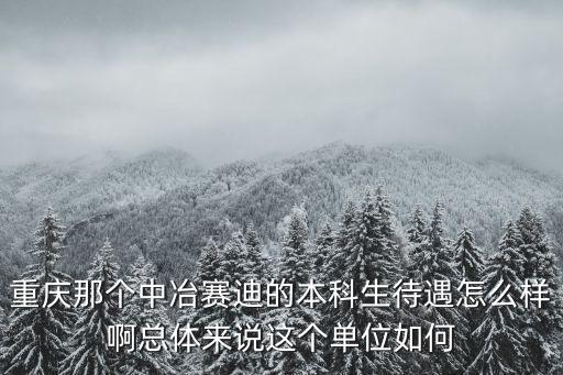 重慶那個中冶賽迪的本科生待遇怎么樣啊總體來說這個單位如何