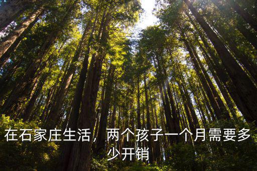 石家莊二本學(xué)費(fèi)多少錢一個(gè)月,兩個(gè)孩子一個(gè)月需要多少開(kāi)銷