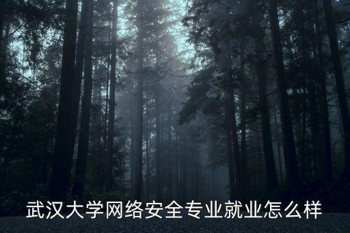 怎么進武漢大學網安學院,武漢大學網安學碩