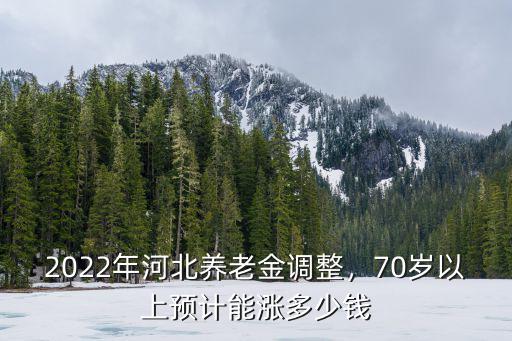 河北退休金2020年一個月多少錢,2022年河北養老金調整
