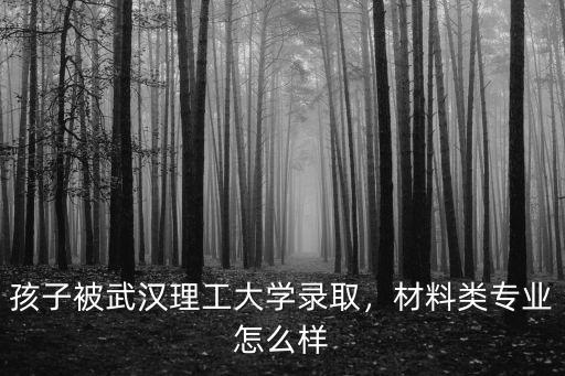 孩子被武漢理工大學(xué)錄取，材料類專業(yè)怎么樣