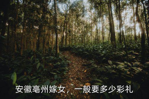 安徽結婚一般給多少彩禮,合肥結婚一般彩禮要多少