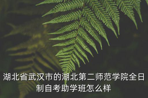 湖北第二師范學校怎么樣,湖北第二師范學院湖北大學
