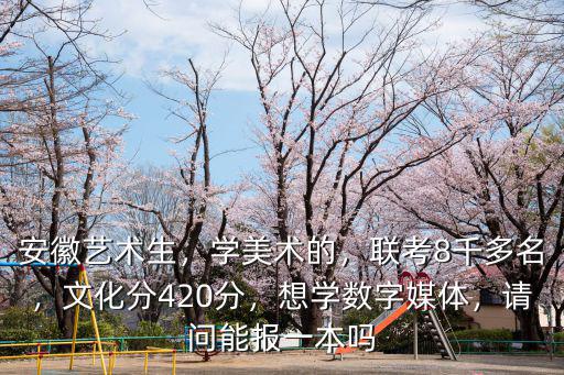 安徽藝術(shù)生，學(xué)美術(shù)的，聯(lián)考8千多名，文化分420分，想學(xué)數(shù)字媒體，請(qǐng)問能報(bào)一本嗎