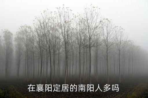 在襄陽定居的南陽人多嗎