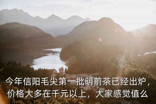 怎么廣告信陽毛尖,信陽毛尖怎么品