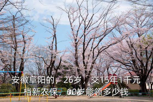 合肥新農保領取多少錢,自己買新農保能領多少錢