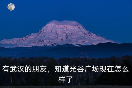 武漢光谷廣場開服裝店怎么樣,知道光谷廣場現(xiàn)在怎么樣了