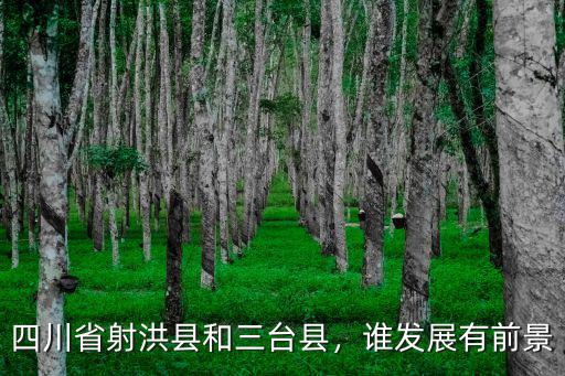 四川省三臺縣梓州中學在哪里,四川省射洪縣和三臺縣