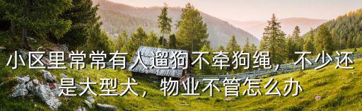 小區(qū)里常常有人遛狗不牽狗繩，不少還是大型犬，物業(yè)不管怎么辦