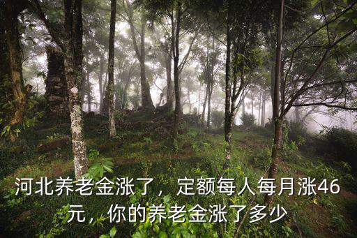 今年河北基礎養老金是多少,河北養老金上調多少