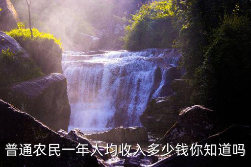 普通農(nóng)民一年人均收入多少錢你知道嗎