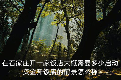 石家莊開(kāi)飯店需要多少錢(qián)一個(gè)月,開(kāi)飯店的前景怎么樣