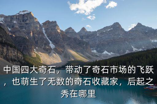 中國四大奇石，帶動了奇石市場的飛躍，也萌生了無數(shù)的奇石收藏家，后起之秀在哪里