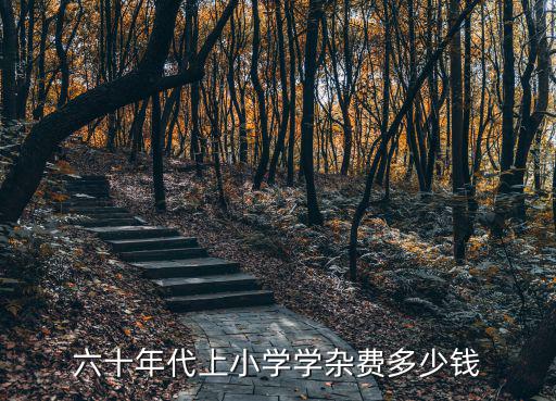 六十年代上小學(xué)學(xué)雜費(fèi)多少錢