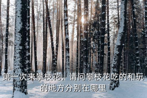 攀枝花吃哪里,第一次來攀枝花