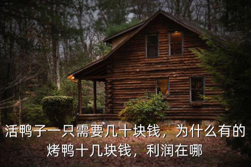 銅陵市鴨子多少錢一只,現在一只鴨子值多少錢
