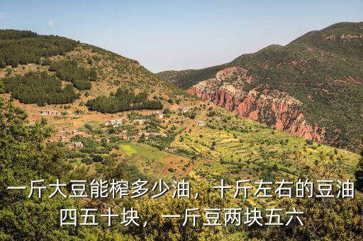 一斤大豆能榨多少油，十斤左右的豆油四五十塊，一斤豆兩塊五六