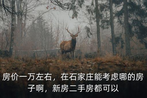 房價一萬左右，在石家莊能考慮哪的房子啊，新房二手房都可以