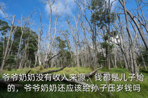 爺爺奶奶沒有收入來(lái)源，錢都是兒子給的，爺爺奶奶還應(yīng)該給孫子壓歲錢嗎
